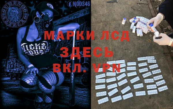 шишки Арсеньев