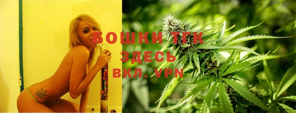 винт Аркадак