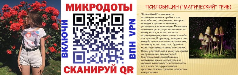 Галлюциногенные грибы Psilocybine cubensis Крым