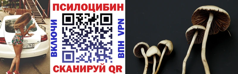 Псилоцибиновые грибы Cubensis  купить   Крым 